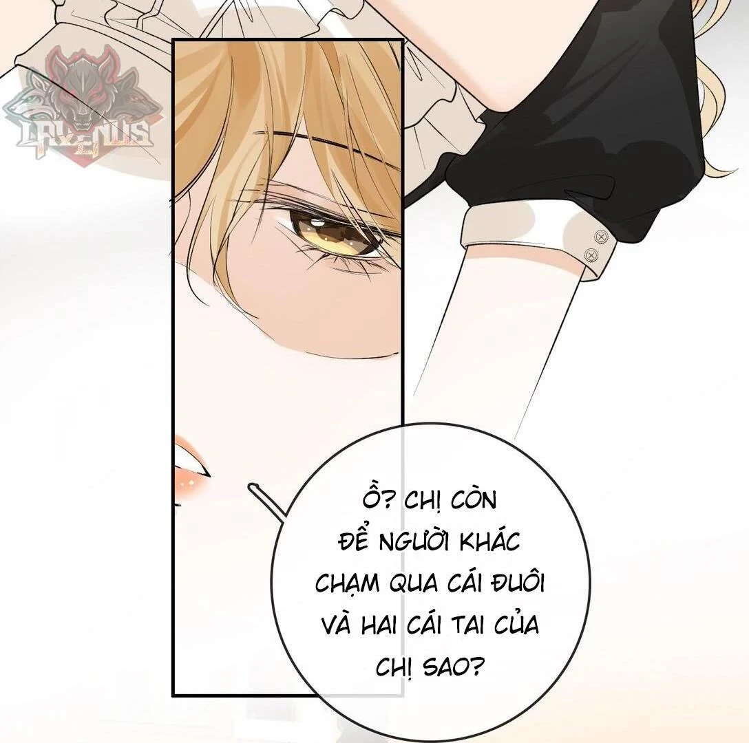 Sói Tiểu Thư Và Em Gái Hồ Ly Của Tôi Chapter 31 - Trang 19