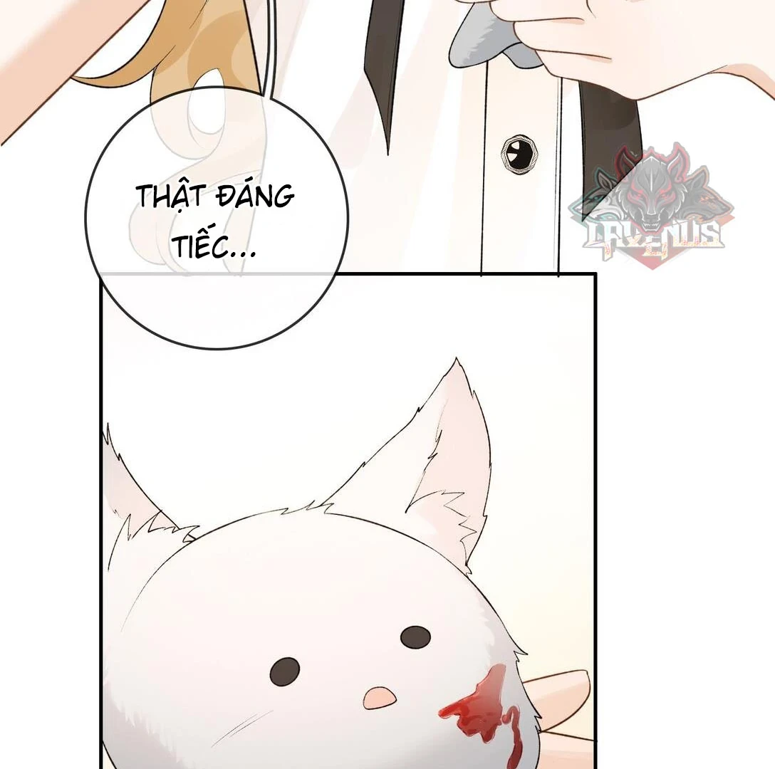 Sói Tiểu Thư Và Em Gái Hồ Ly Của Tôi Chapter 31 - Trang 28