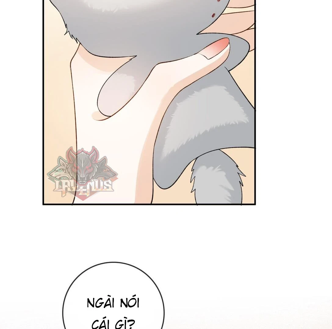 Sói Tiểu Thư Và Em Gái Hồ Ly Của Tôi Chapter 31 - Trang 29