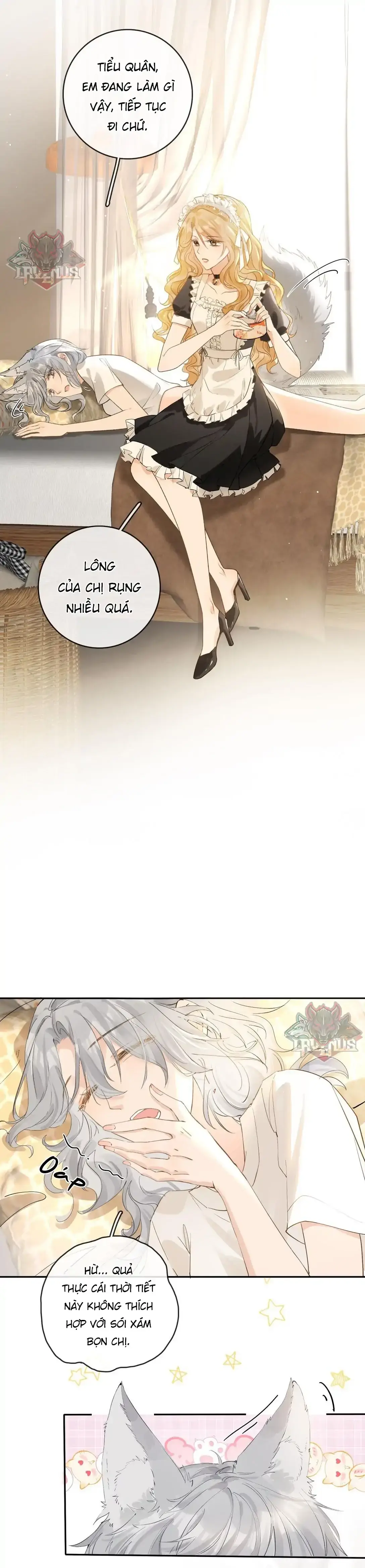 Sói Tiểu Thư Và Em Gái Hồ Ly Của Tôi Chapter 31 - Trang 4