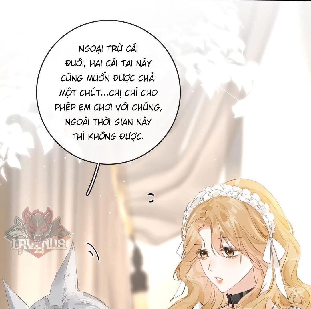 Sói Tiểu Thư Và Em Gái Hồ Ly Của Tôi Chapter 31 - Trang 5