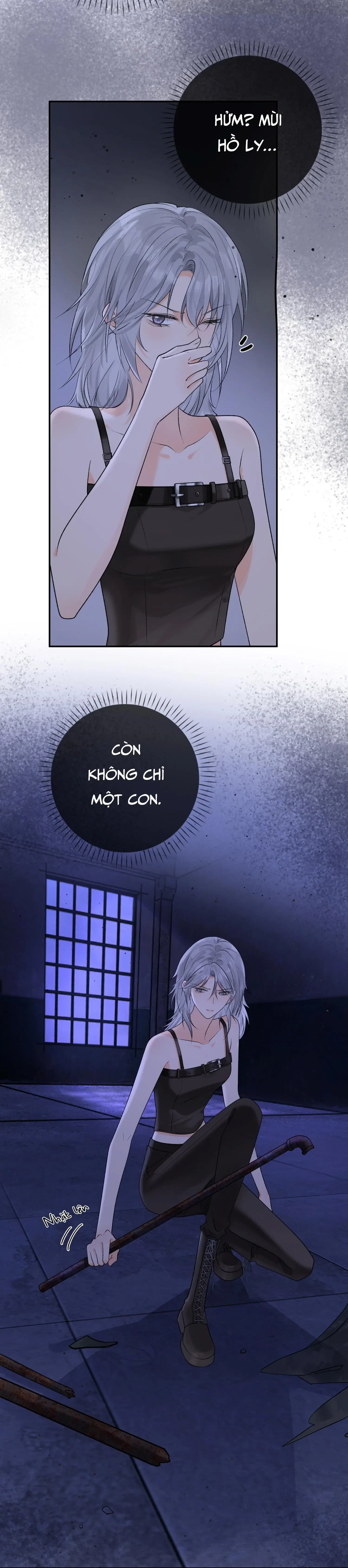 Sói Tiểu Thư Và Em Gái Hồ Ly Của Tôi Chapter 32 - Trang 22
