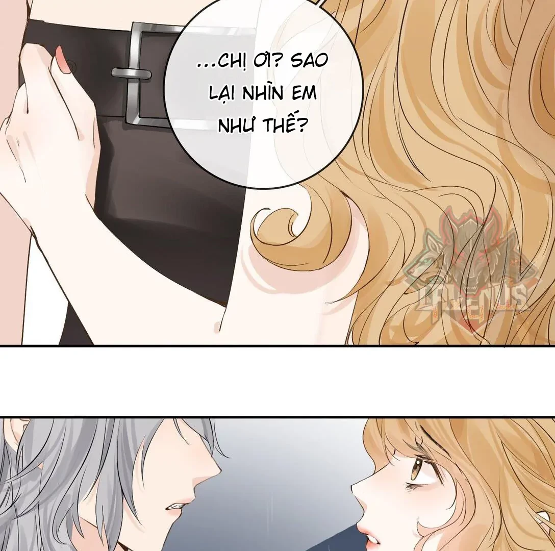 Sói Tiểu Thư Và Em Gái Hồ Ly Của Tôi Chapter 34 - Trang 15