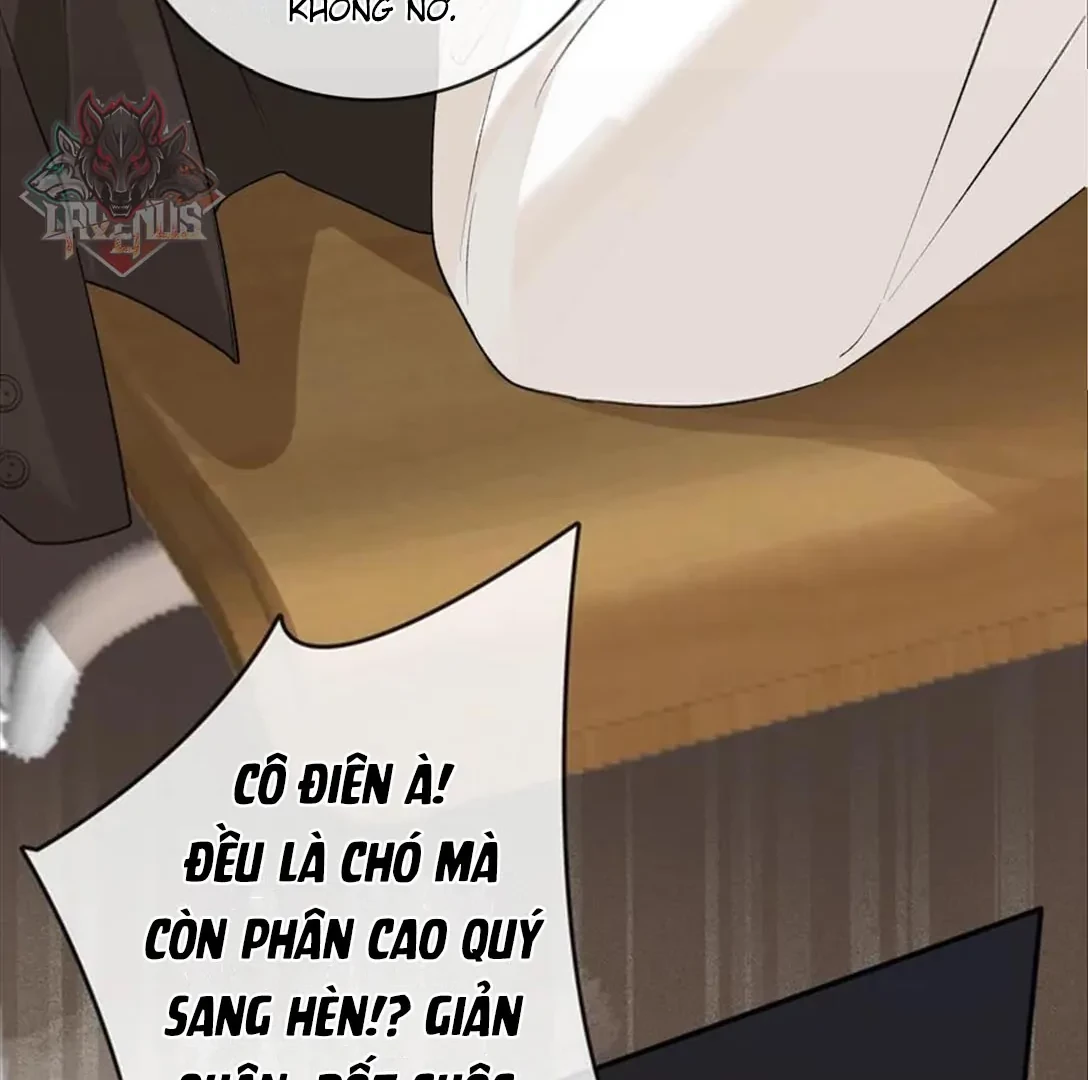 Sói Tiểu Thư Và Em Gái Hồ Ly Của Tôi Chapter 35 - Trang 34