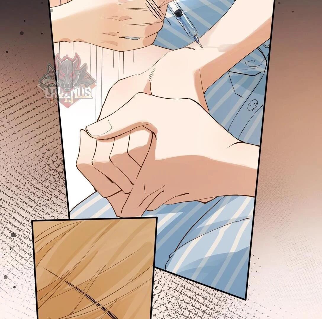 Sói Tiểu Thư Và Em Gái Hồ Ly Của Tôi Chapter 35 - Trang 43