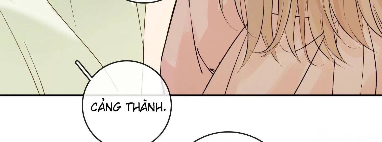 Sói Tiểu Thư Và Em Gái Hồ Ly Của Tôi Chapter 38 - Trang 14