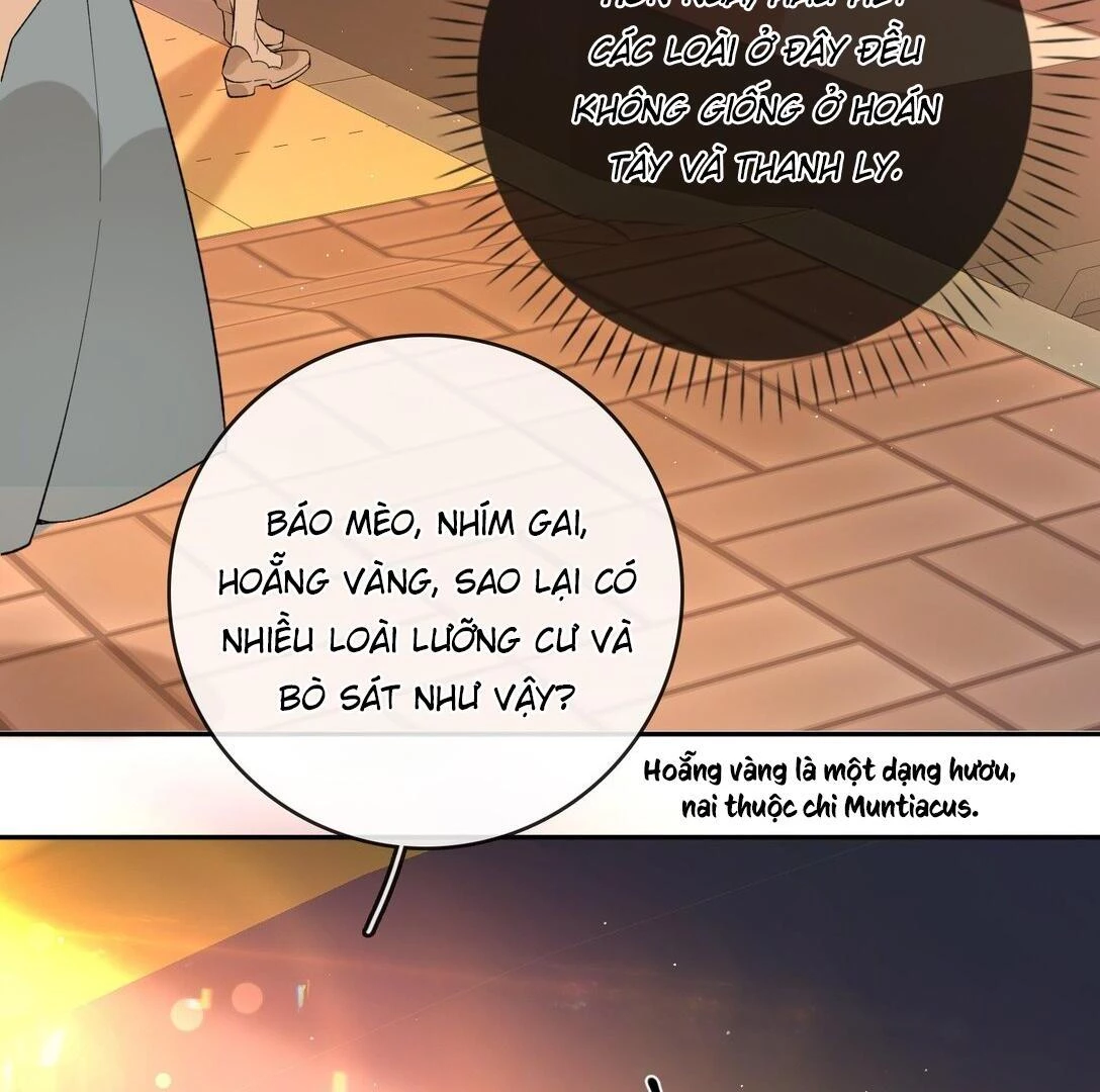 Sói Tiểu Thư Và Em Gái Hồ Ly Của Tôi Chapter 39 - Trang 11