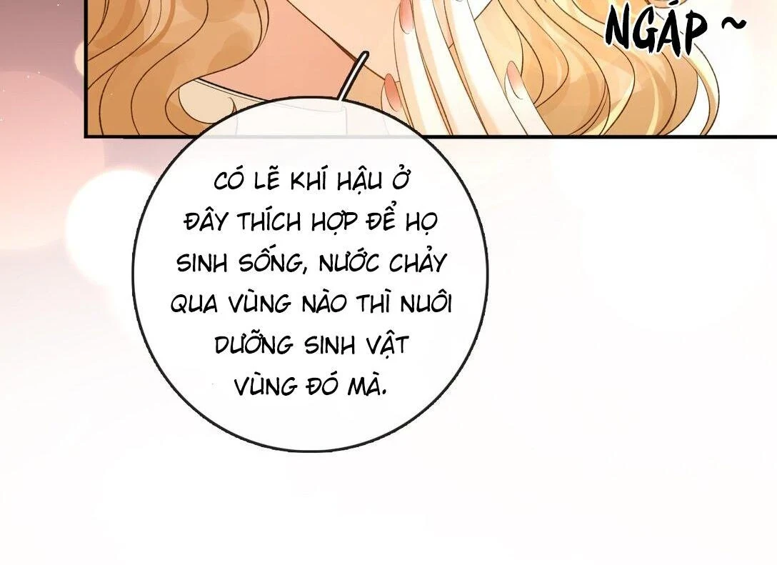 Sói Tiểu Thư Và Em Gái Hồ Ly Của Tôi Chapter 39 - Trang 14