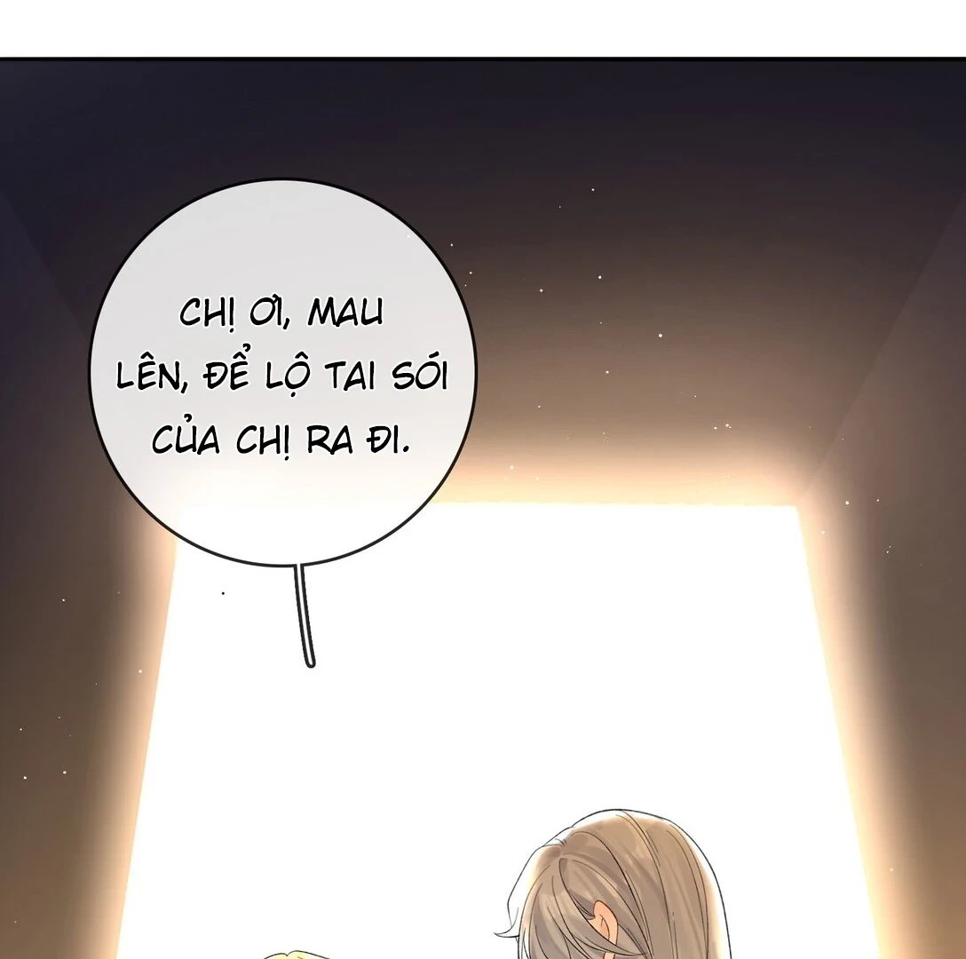 Sói Tiểu Thư Và Em Gái Hồ Ly Của Tôi Chapter 39 - Trang 29