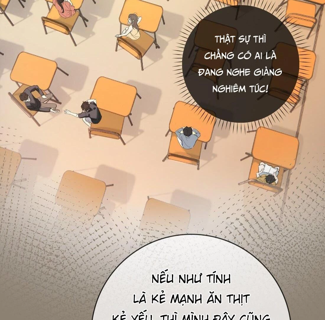 Sói Tiểu Thư Và Em Gái Hồ Ly Của Tôi Chapter 4 - Trang 13