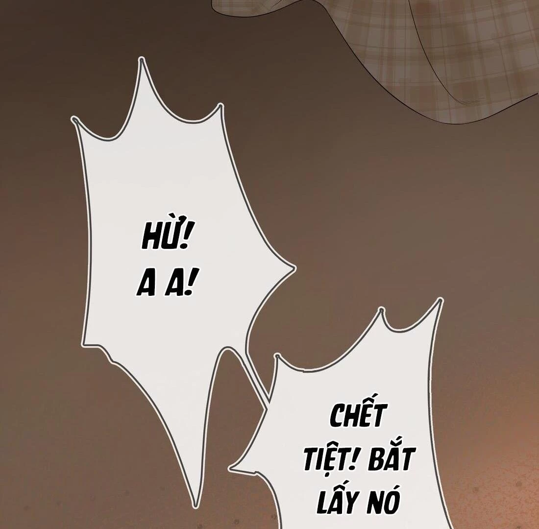Sói Tiểu Thư Và Em Gái Hồ Ly Của Tôi Chapter 4 - Trang 20
