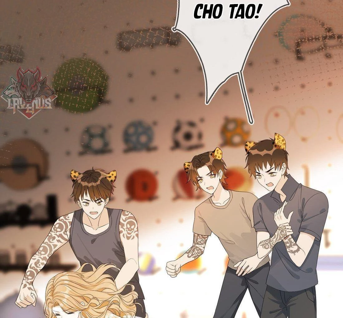 Sói Tiểu Thư Và Em Gái Hồ Ly Của Tôi Chapter 4 - Trang 21