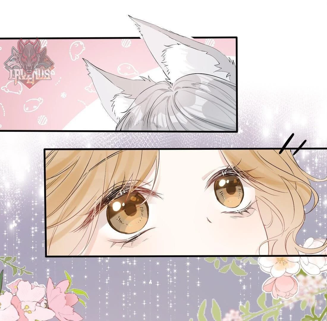 Sói Tiểu Thư Và Em Gái Hồ Ly Của Tôi Chapter 4 - Trang 47