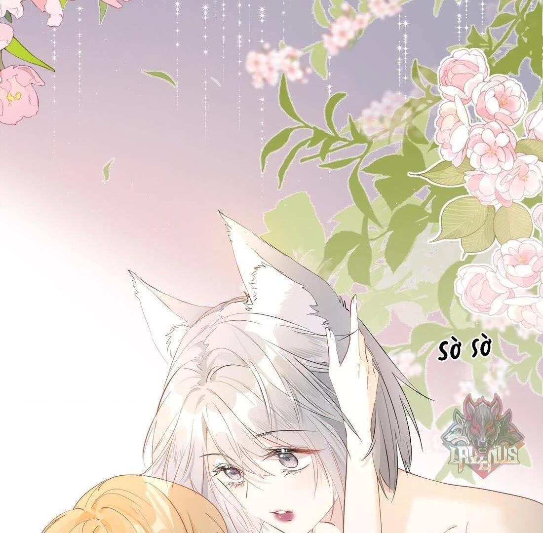 Sói Tiểu Thư Và Em Gái Hồ Ly Của Tôi Chapter 4 - Trang 48