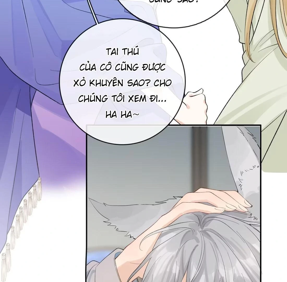 Sói Tiểu Thư Và Em Gái Hồ Ly Của Tôi Chapter 41 - Trang 10