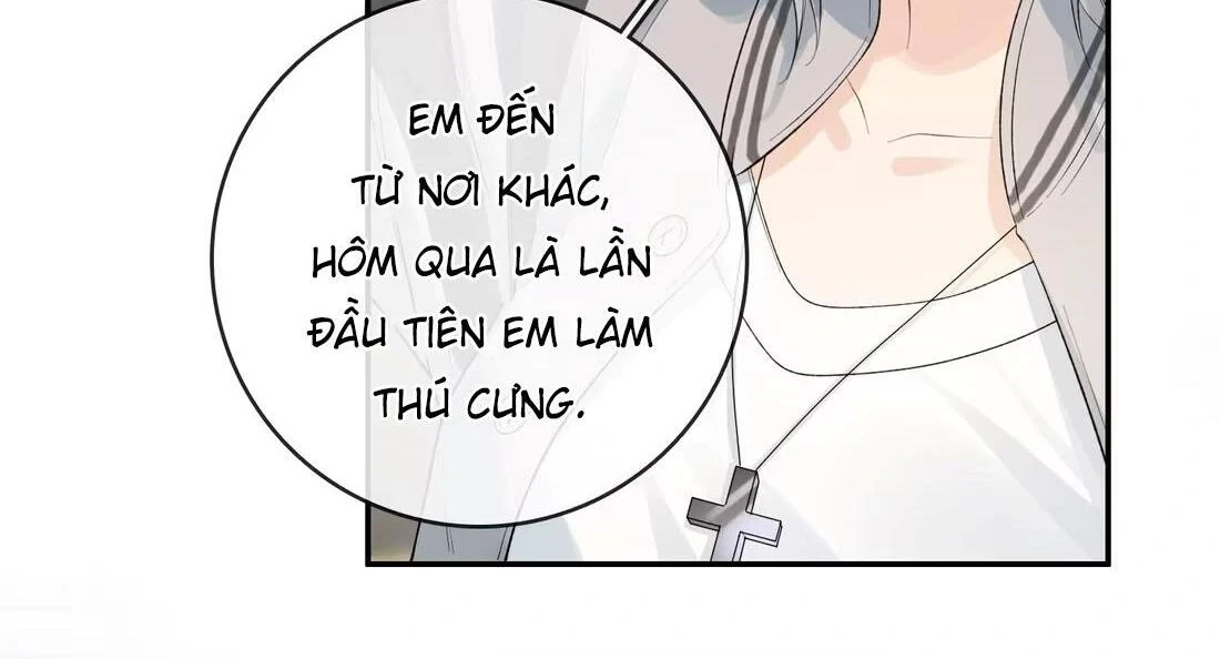 Sói Tiểu Thư Và Em Gái Hồ Ly Của Tôi Chapter 41 - Trang 12
