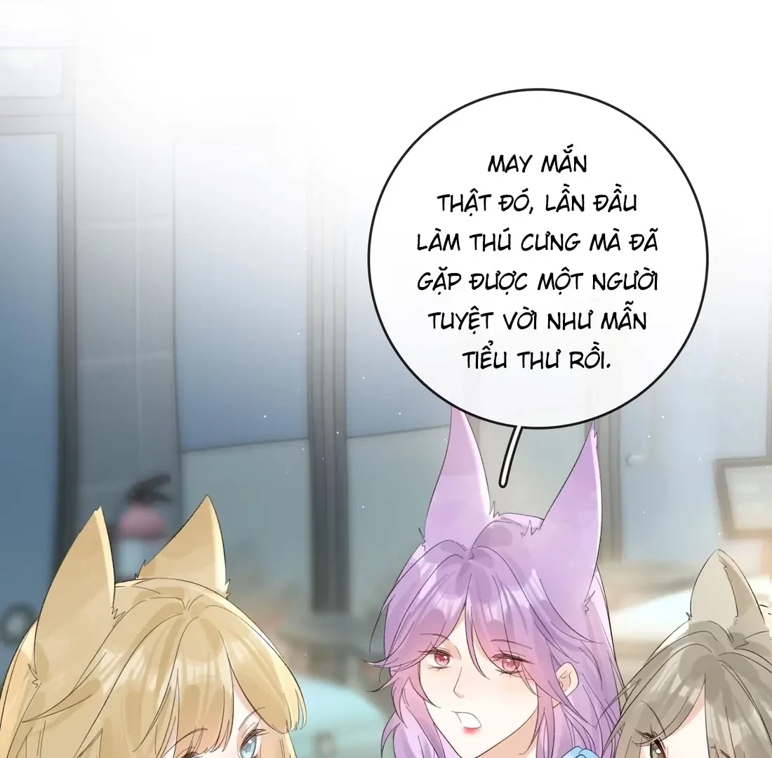 Sói Tiểu Thư Và Em Gái Hồ Ly Của Tôi Chapter 41 - Trang 13
