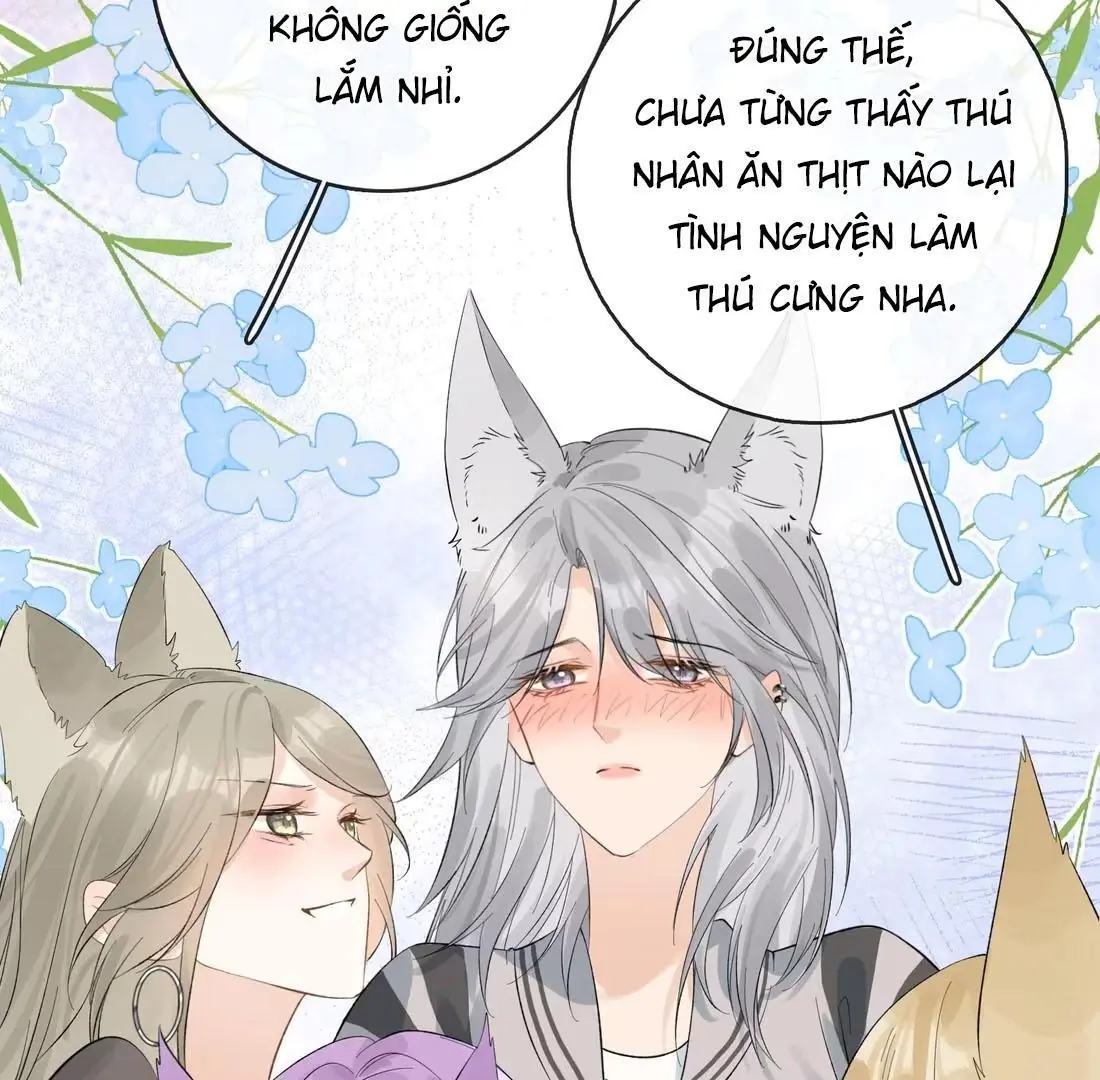 Sói Tiểu Thư Và Em Gái Hồ Ly Của Tôi Chapter 41 - Trang 8