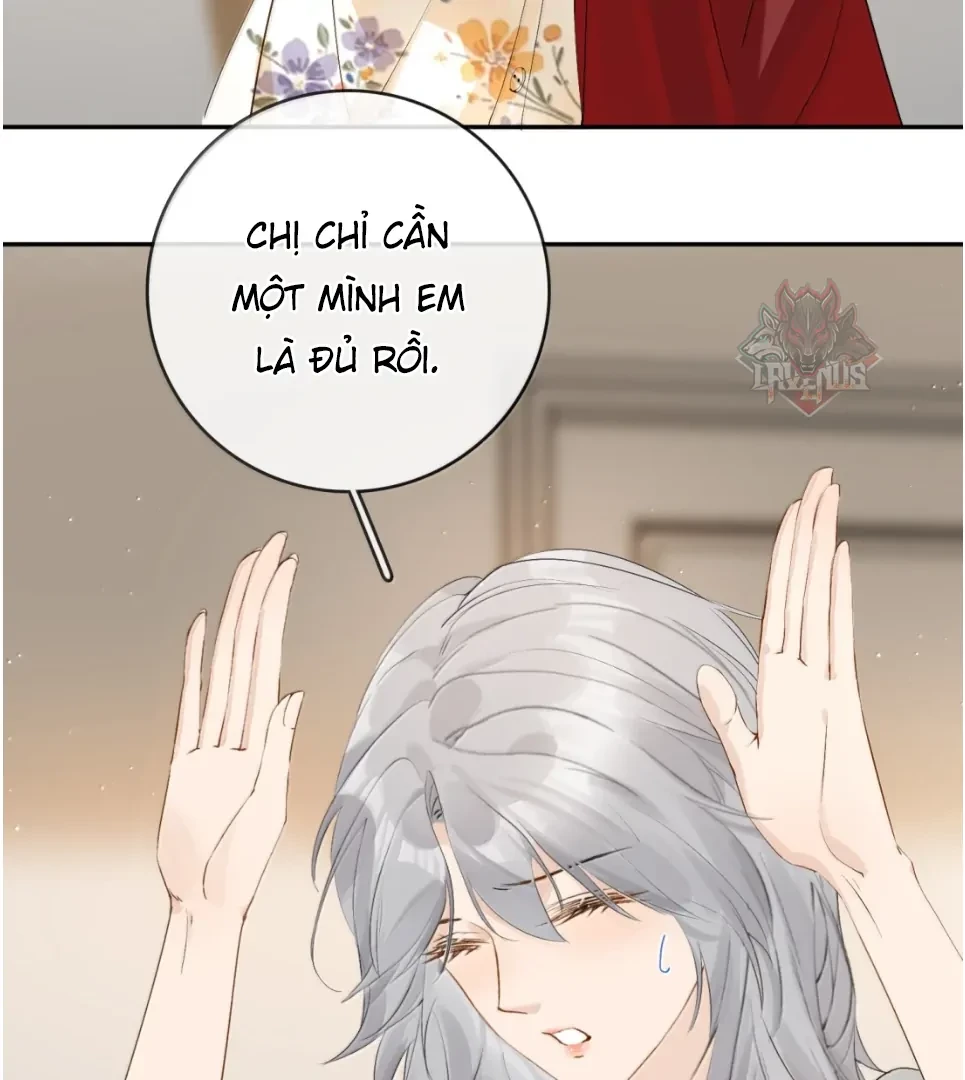 Sói Tiểu Thư Và Em Gái Hồ Ly Của Tôi Chapter 43 - Trang 12