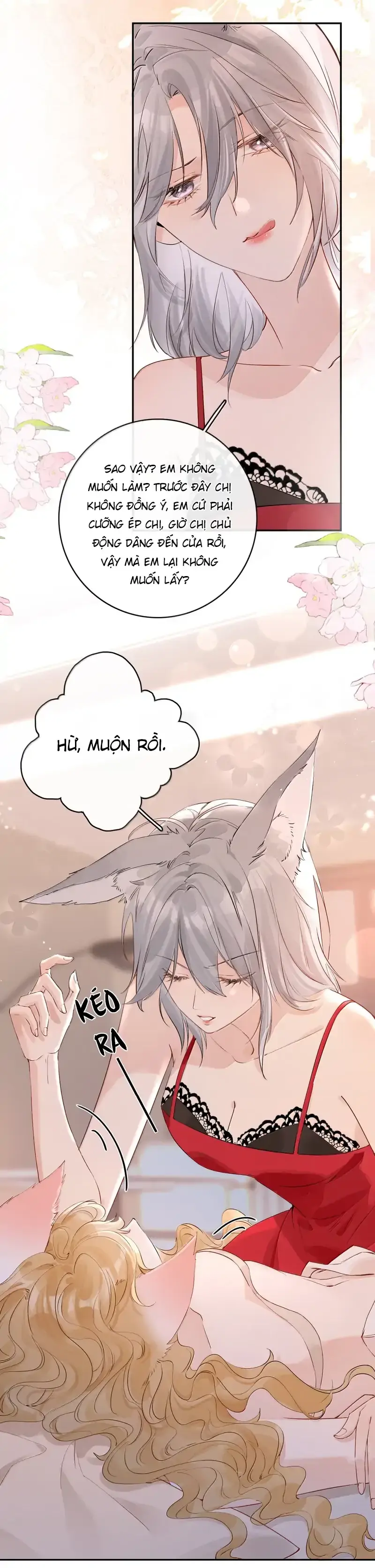 Sói Tiểu Thư Và Em Gái Hồ Ly Của Tôi Chapter 46 - Trang 11
