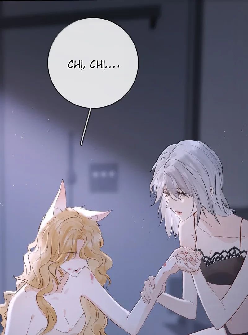 Sói Tiểu Thư Và Em Gái Hồ Ly Của Tôi Chapter 46 - Trang 20