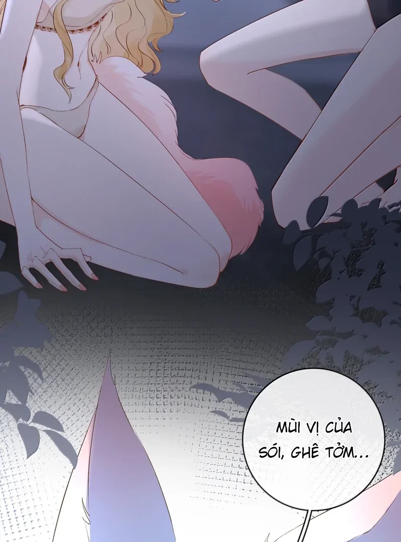 Sói Tiểu Thư Và Em Gái Hồ Ly Của Tôi Chapter 46 - Trang 21