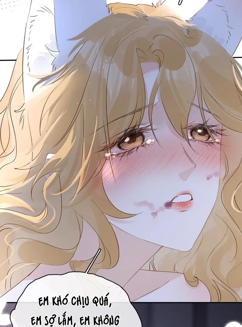 Sói Tiểu Thư Và Em Gái Hồ Ly Của Tôi Chapter 46 - Trang 22