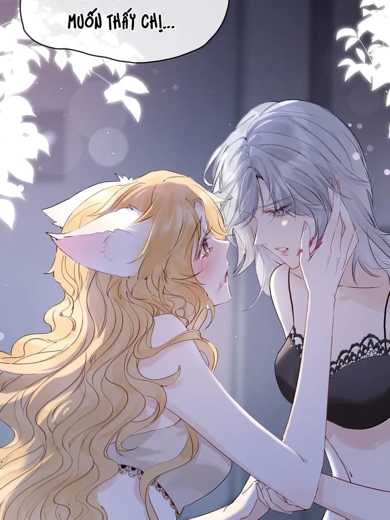Sói Tiểu Thư Và Em Gái Hồ Ly Của Tôi Chapter 46 - Trang 23