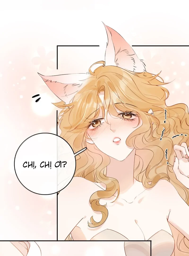 Sói Tiểu Thư Và Em Gái Hồ Ly Của Tôi Chapter 46 - Trang 5
