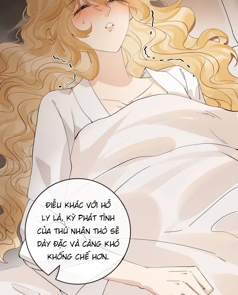 Sói Tiểu Thư Và Em Gái Hồ Ly Của Tôi Chapter 47 - Trang 19