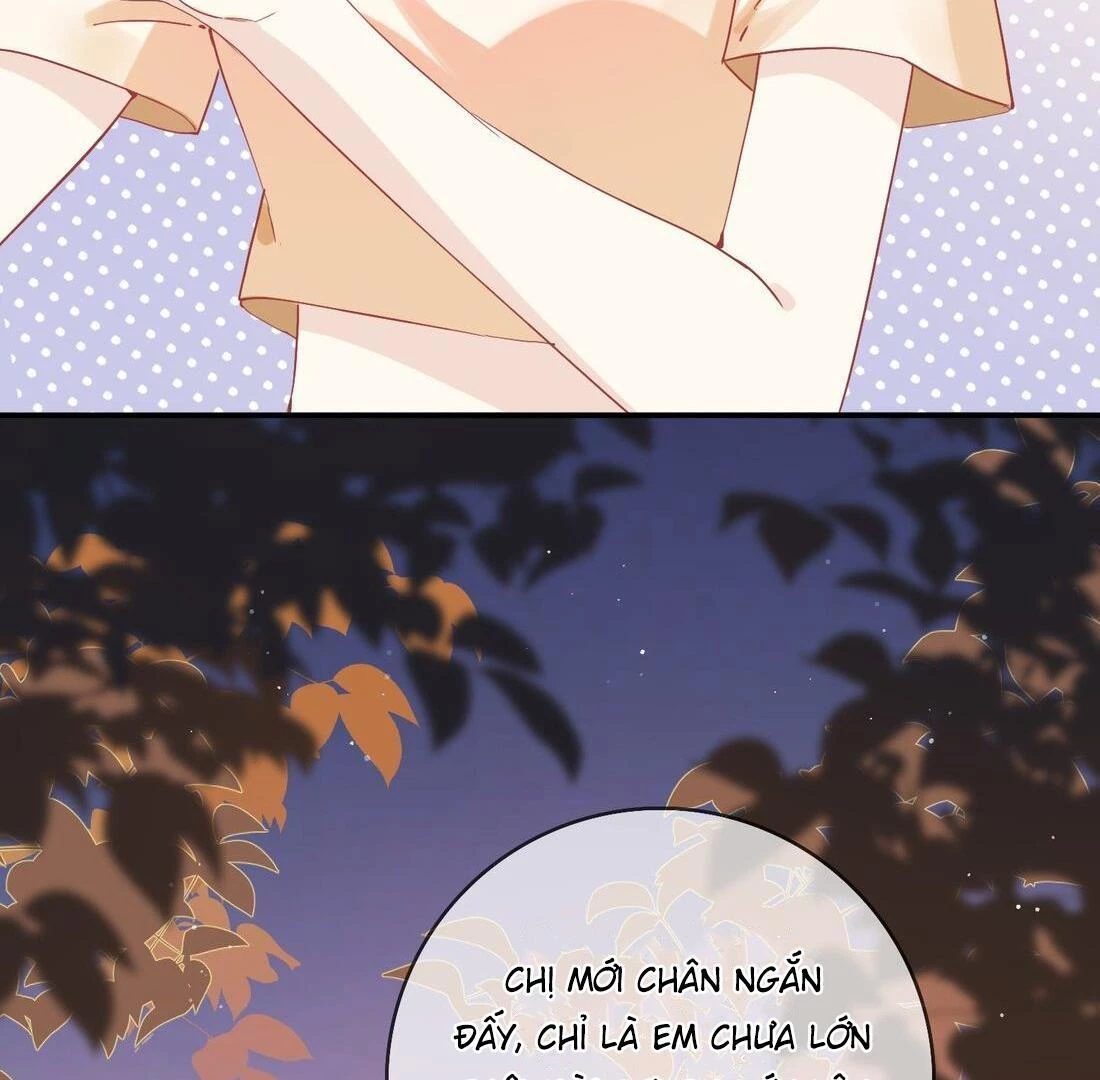 Sói Tiểu Thư Và Em Gái Hồ Ly Của Tôi Chapter 5 - Trang 13