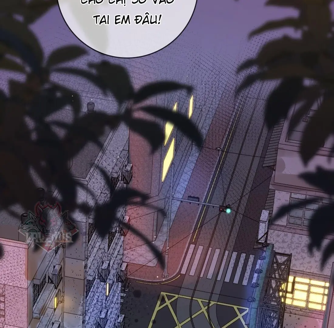 Sói Tiểu Thư Và Em Gái Hồ Ly Của Tôi Chapter 5 - Trang 22
