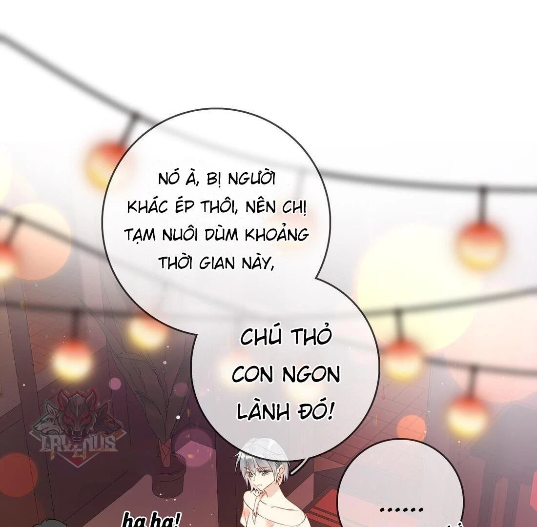 Sói Tiểu Thư Và Em Gái Hồ Ly Của Tôi Chapter 5 - Trang 27