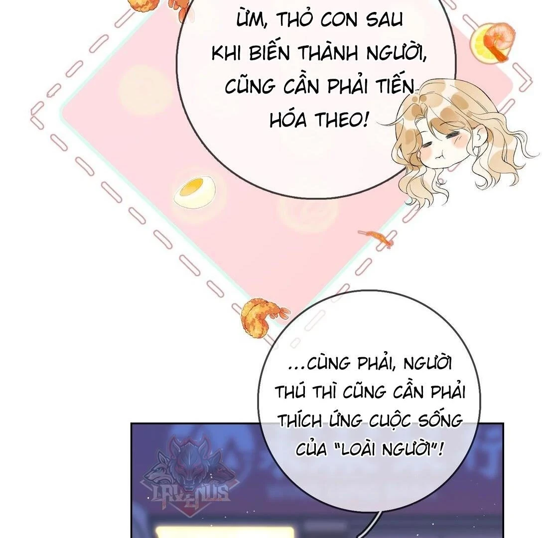 Sói Tiểu Thư Và Em Gái Hồ Ly Của Tôi Chapter 5 - Trang 37
