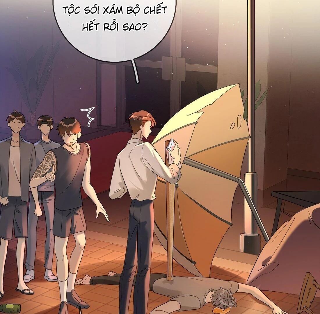 Sói Tiểu Thư Và Em Gái Hồ Ly Của Tôi Chapter 5 - Trang 44