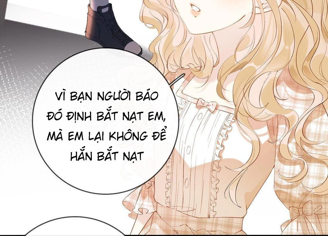 Sói Tiểu Thư Và Em Gái Hồ Ly Của Tôi Chapter 5 - Trang 8