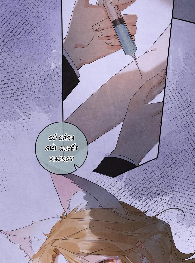 Sói Tiểu Thư Và Em Gái Hồ Ly Của Tôi Chapter 53 - Trang 15