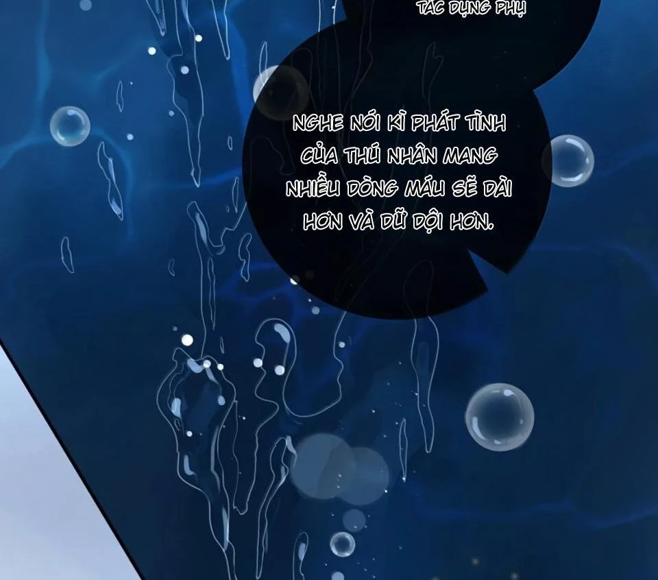 Sói Tiểu Thư Và Em Gái Hồ Ly Của Tôi Chapter 59 - Trang 19