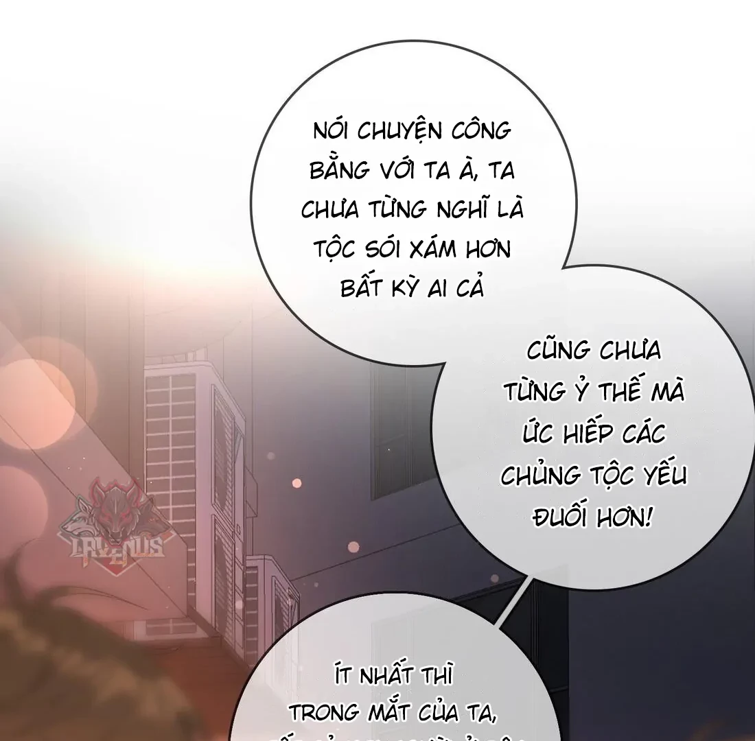 Sói Tiểu Thư Và Em Gái Hồ Ly Của Tôi Chapter 6 - Trang 11