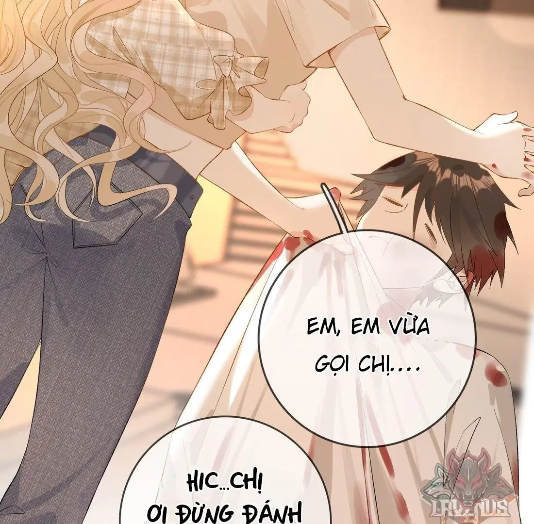 Sói Tiểu Thư Và Em Gái Hồ Ly Của Tôi Chapter 6 - Trang 25