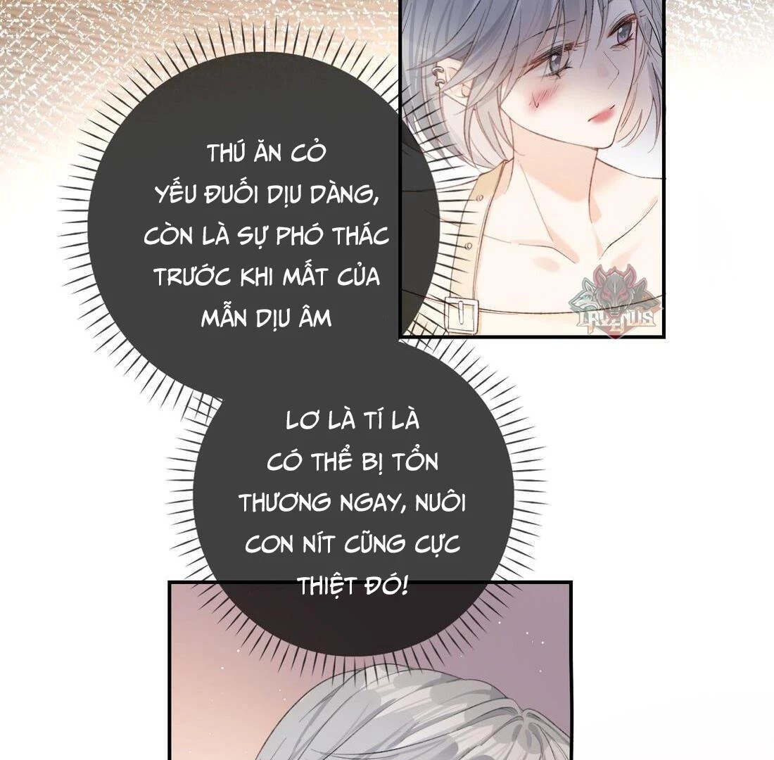 Sói Tiểu Thư Và Em Gái Hồ Ly Của Tôi Chapter 6 - Trang 40