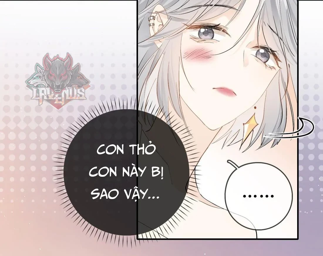 Sói Tiểu Thư Và Em Gái Hồ Ly Của Tôi Chapter 6 - Trang 49