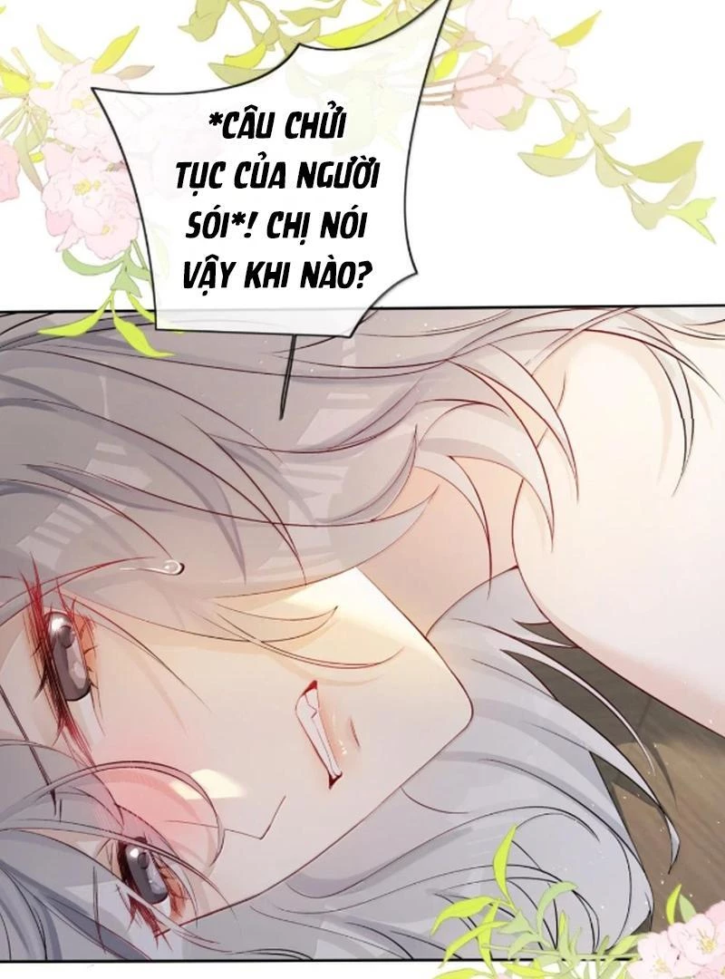 Sói Tiểu Thư Và Em Gái Hồ Ly Của Tôi Chapter 61 - Trang 39