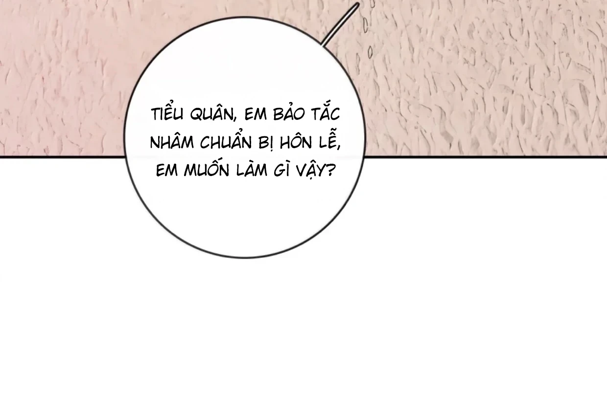 Sói Tiểu Thư Và Em Gái Hồ Ly Của Tôi Chapter 62 - Trang 35