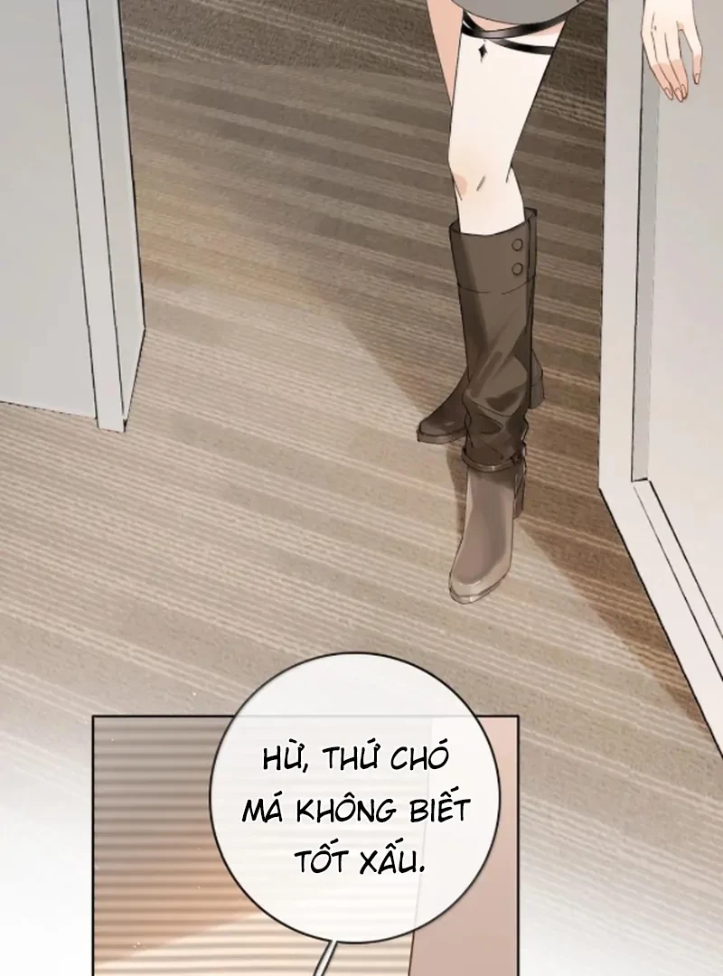 Sói Tiểu Thư Và Em Gái Hồ Ly Của Tôi Chapter 67 - Trang 10