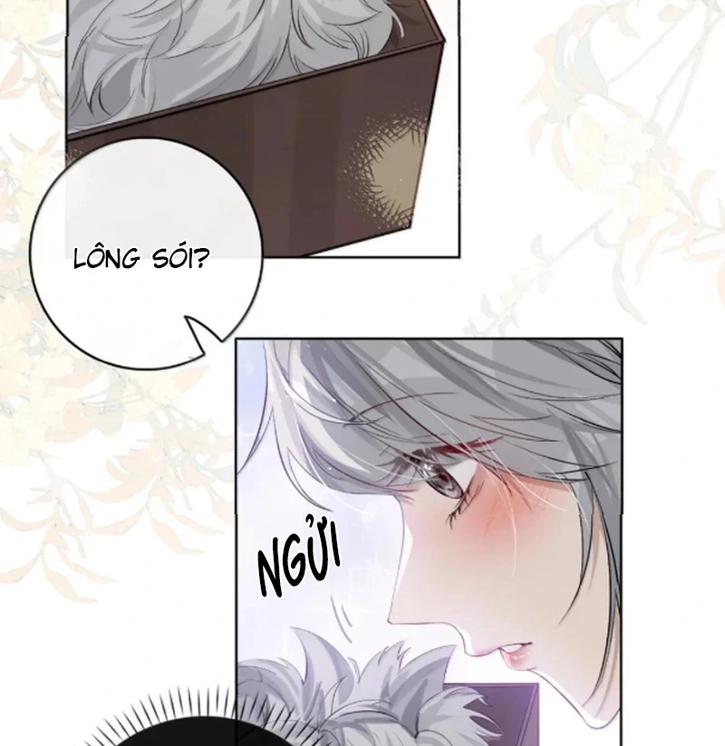 Sói Tiểu Thư Và Em Gái Hồ Ly Của Tôi Chapter 67 - Trang 47