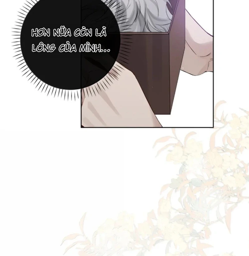 Sói Tiểu Thư Và Em Gái Hồ Ly Của Tôi Chapter 67 - Trang 48