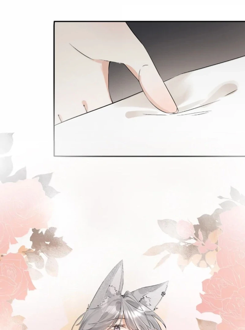 Sói Tiểu Thư Và Em Gái Hồ Ly Của Tôi Chapter 68 - Trang 29