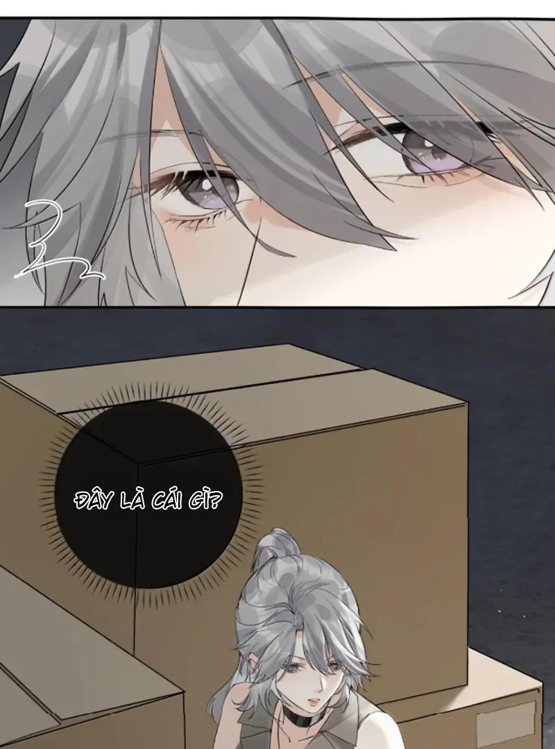 Sói Tiểu Thư Và Em Gái Hồ Ly Của Tôi Chapter 68 - Trang 7