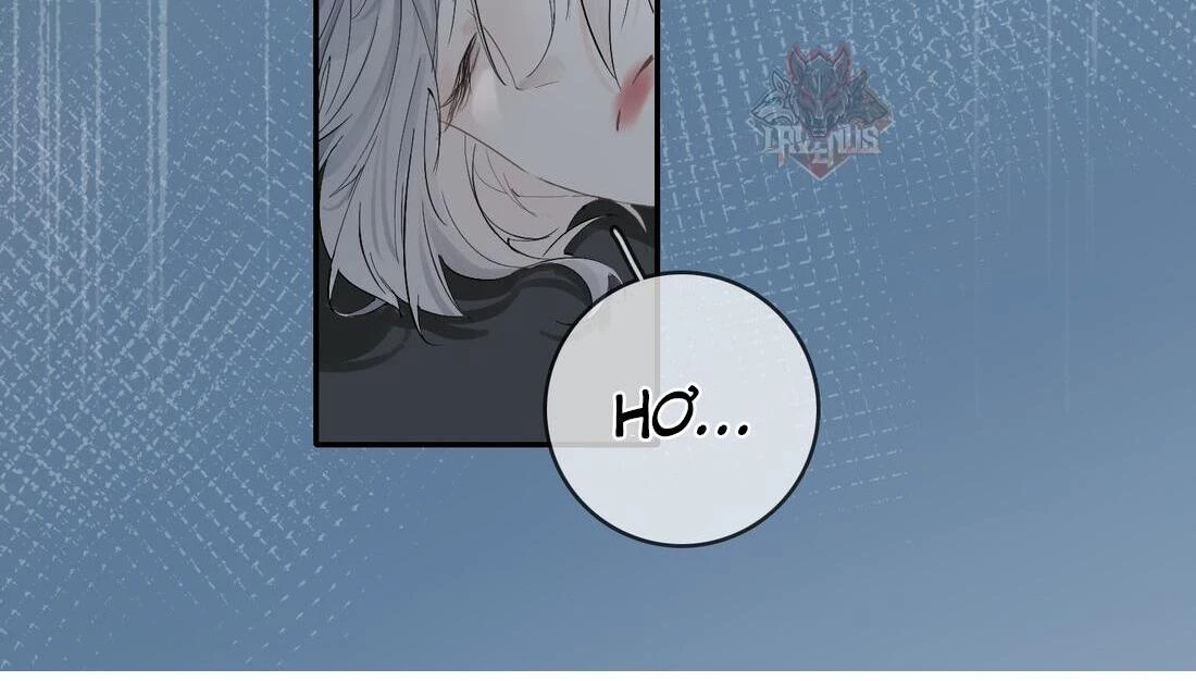 Sói Tiểu Thư Và Em Gái Hồ Ly Của Tôi Chapter 7 - Trang 21